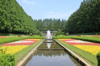 /album/%e3%83%95%e3%82%a9%e3%83%88%e3%82%ae%e3%83%a3%e3%83%a9%e3%83%aa%e3%83%bc/img-1747-jpg/